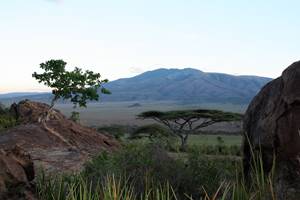 Serengeti Nationalpark Safari: Ein Naturparadies in Tansania