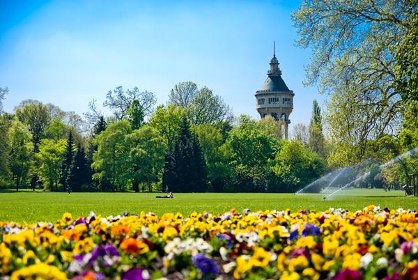 Margareteninsel, Budapest. Der Wasserturm und blühende Blumen.