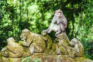 Bali Reiseführer und Besucherinformationen